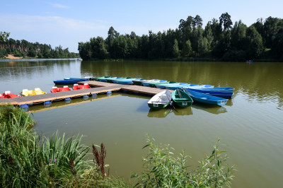 Усадьба Гребнево