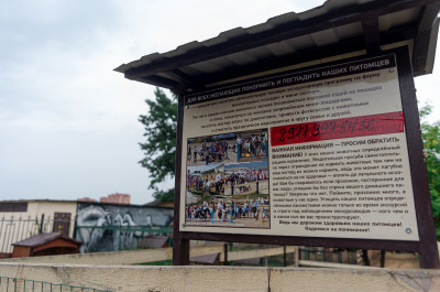 Лыткарино, Конноспортивный клуб «Созидатель»