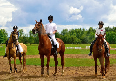 Конноспортивный комплекс «Совиное гнездо»