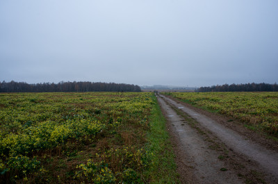 Володарские каменоломни, окрестности