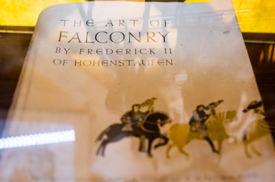 Центр соколиной охоты