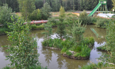 Дом отдыха «Новая усадьба»