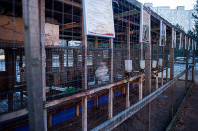 Храм рождества Пресвятой Богородицы в Орехово-Зуеве