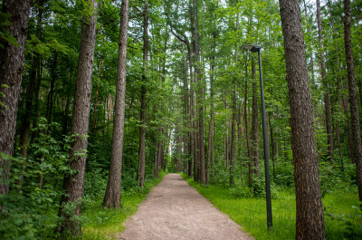 Парк «Малевича»