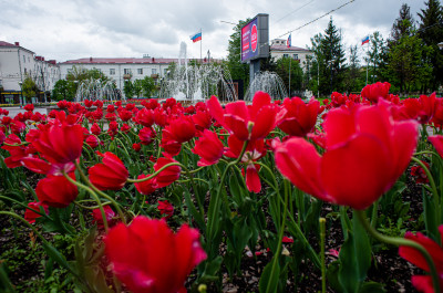 Солнечногорск