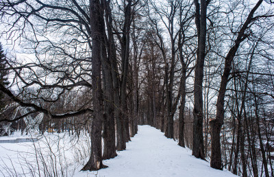 Руза, Рузский кремль