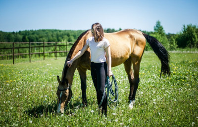 Парк активного отдыха «X-Land»