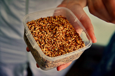 Пивоварня «Глетчер»