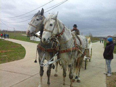Этнографический парк-музей «Этномир»