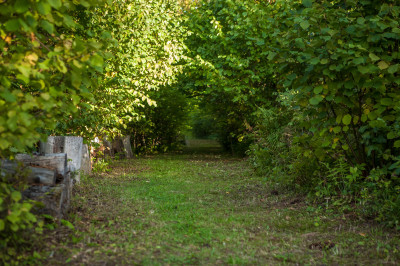 Загородный клуб «Тучково»