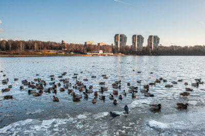 Химки, парк культуры и отдыха имени Л.Н. Толстого, канал имени Москвы