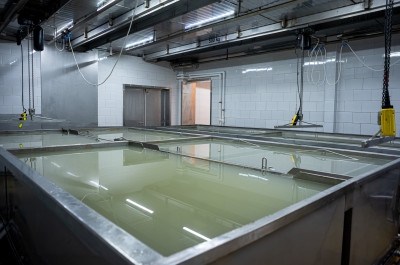 Фестиваль «Сыр. Пир. Мир» 2021