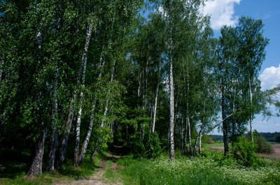 Яхромское  водохранилище