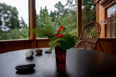 Музей Михаила Пришвина