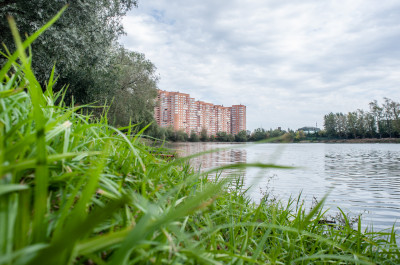 Котельники, микрорайон Белая Дача