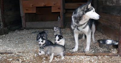 Этнографический парк-музей «Этномир»