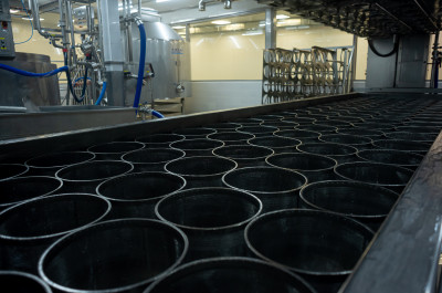 Фестиваль «Сыр. Пир. Мир» 2021