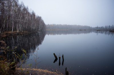 Шатурские болота