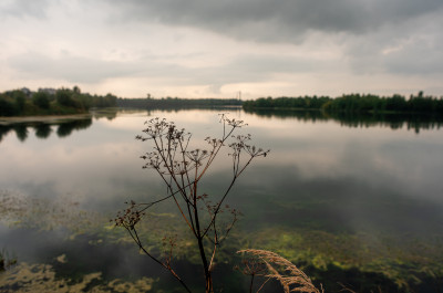 Амерьевский карьер