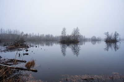 Шатурские болота