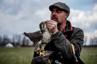 Центр соколиной охоты