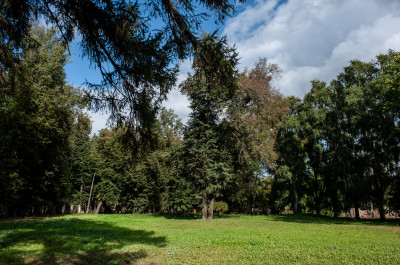 Усадьба Кривякино в Воскресенске