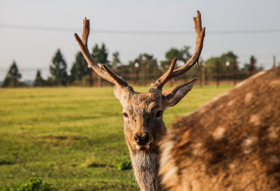 Парк активного отдыха «X-Land»