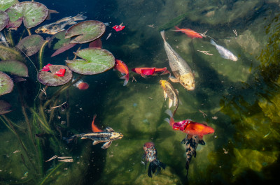 Дмитровское направление. Дмитров. Борисоглебский мужской монастырь