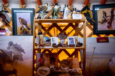 Центр соколиной охоты