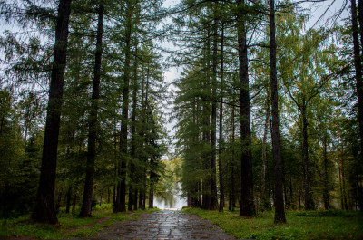 Усадьба Середниково