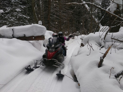 Пункт проката «Снегоходия»