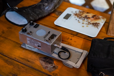 Центр соколиной охоты