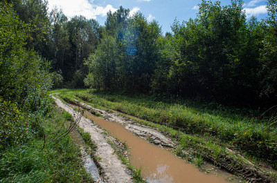 Дубна, дорога к загадочному шару около Дубны