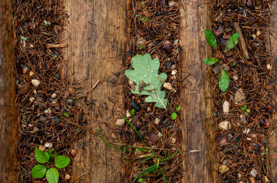 Музей дороги в Сергиевом Посаде
