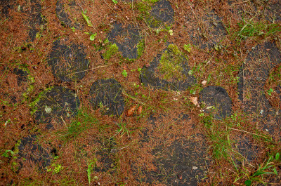 Музей дороги в Сергиевом Посаде
