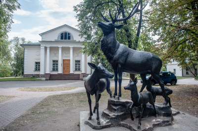 Котельники, микрорайон Белая Дача