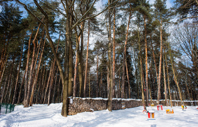 Парк Волхонка