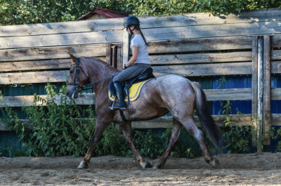 «Игнатовские конюшни»