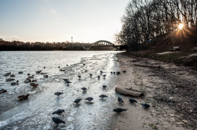 Химки, парк культуры и отдыха имени Л.Н. Толстого, канал имени Москвы