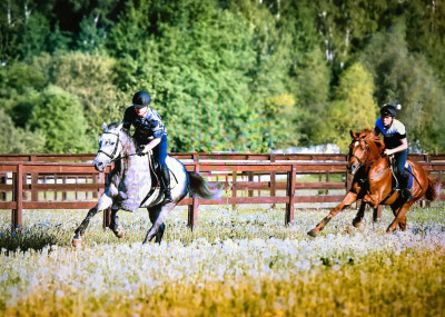Конноспортивный клуб «Отрада»