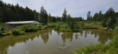 Дом отдыха «Новая усадьба»