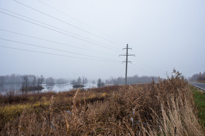 Шатурские болота