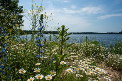 Луховицы, голубые озёра