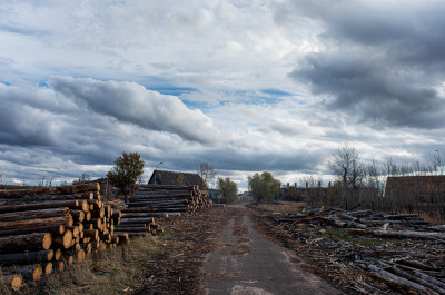Заброшеная дереня Моховое