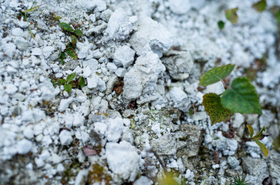 Восквесенск, Белая гора